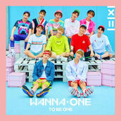 TO BE ONE (2017)